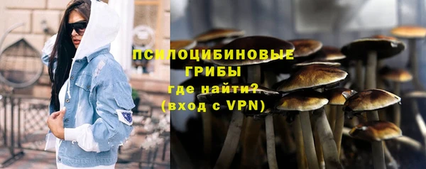 прущие грибы Верея