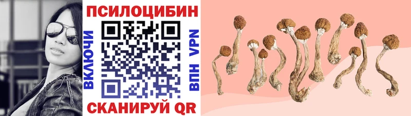 Галлюциногенные грибы ЛСД  дарк нет какой сайт  Заозёрный 